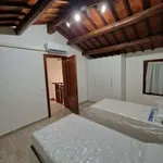 Rent 3 bedroom apartment of 90 m² in Padua