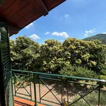 Rent 5 bedroom apartment of 118 m² in Rocca di Papa