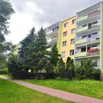 Rent 3 bedroom apartment of 52 m² in szczecin