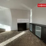 Rent 2 bedroom apartment of 61 m² in Zlín