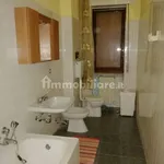 Rent 2 bedroom apartment of 53 m² in Alessandria