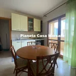 Rent 2 bedroom apartment of 60 m² in Marsala