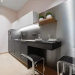 Rent 1 bedroom apartment of 42 m² in Brno