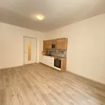 Pronajměte si 2 ložnic/e byt o rozloze 47 m² v Praha