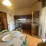 Rent 5 bedroom apartment of 100 m² in Lucca