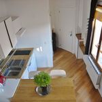 Rent 1 bedroom apartment in Paris