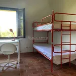 Rent 4 bedroom apartment of 58 m² in Siena