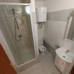 Rent 1 bedroom apartment in Ostrava