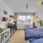 Rent 1 bedroom apartment in Prague