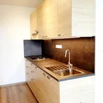 Rent 2 bedroom apartment in Praha 10