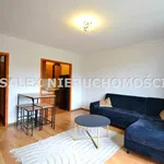 Rent 2 bedroom apartment of 35 m² in Jastrzębie-Zdrój