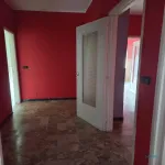 Rent 2 bedroom apartment of 75 m² in turin