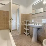 Rent 1 bedroom apartment of 50 m² in Firenze