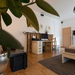 Rent 3 bedroom apartment of 230 m² in Erfurt