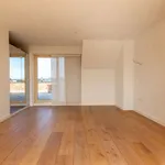 Rent 1 bedroom apartment in Willebroek