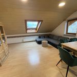 Fully furnished 1 bed room apartment in Böblingen, Boblingen - Amsterdam Apartments for Rent