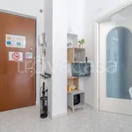 Rent 2 bedroom apartment of 47 m² in Torino