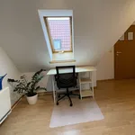 Rent 3 bedroom apartment of 59 m² in Hörselberg-Hainich