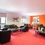 Rent 1 bedroom apartment in Canterbury