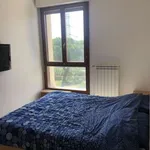 Rent 2 bedroom apartment of 50 m² in Florence