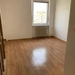 Rent 2 bedroom apartment in Frýdek - Místek