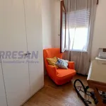 Rent 3 bedroom apartment of 90 m² in Padova