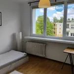 Rent 1 bedroom apartment in Brno