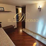 Rent 7 bedroom apartment of 302 m² in Castelletto sopra Ticino