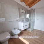 Rent 1 bedroom apartment of 44 m² in Codognè