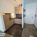 Appartamento arredato con terrazzo Lido est