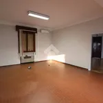 Affitto 3 camera appartamento di 220 m² in Mantova