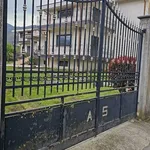 Rent 2 bedroom apartment of 50 m² in Rotondi