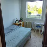 Rent 2 bedroom apartment in Příbram