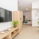 Rent 1 bedroom apartment of 50 m² in Cordoba