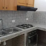 Rent 2 bedroom apartment of 70 m² in Palermo