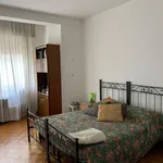 Rent 3 bedroom apartment of 100 m² in Milan