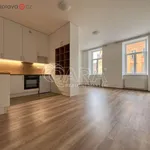 Pronajměte si 1 ložnic/e byt o rozloze 45 m² v Brno