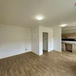 Rent 1 bedroom apartment in Ostrava