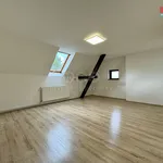 Rent 4 bedroom apartment of 90 m² in Chářovice