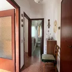 Rent 3 bedroom apartment of 50 m² in Follonica