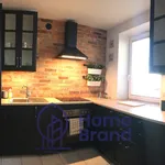 Rent 4 bedroom apartment of 72 m² in Wrocław