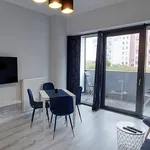 Rent 1 bedroom apartment of 30 m² in Centrum