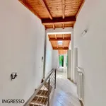 Rent 4 bedroom apartment of 101 m² in Bologna