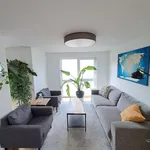 Rent 1 bedroom apartment of 807 m² in Dusseldorf