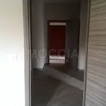 Rent 3 bedroom apartment of 100 m² in Caserta