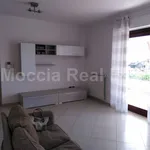 Rent 4 bedroom apartment of 140 m² in Caserta