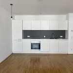 Rent 2 bedroom apartment of 45 m² in Wien