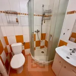 Rent 1 bedroom apartment in Kladno