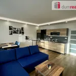 Rent 2 bedroom apartment of 49 m² in Abertamy