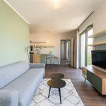 Rent 1 bedroom apartment of 90 m² in berlin